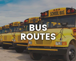 Bus Routes